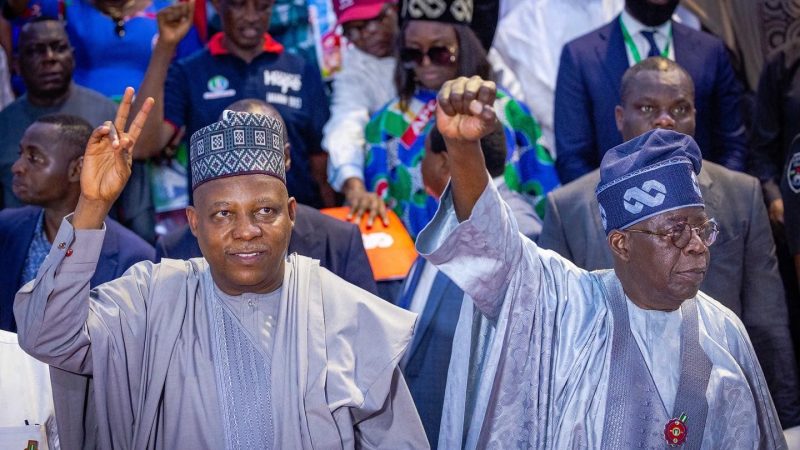 No vacuum in leadership with Tinubu and Shettima abroad