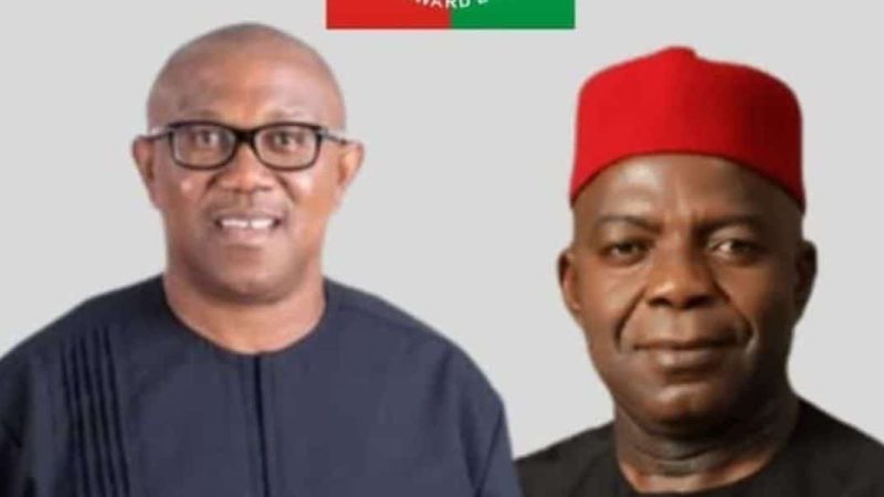 LP to sanction Peter Obi, Alex Otti, for alleged Anti-party activities